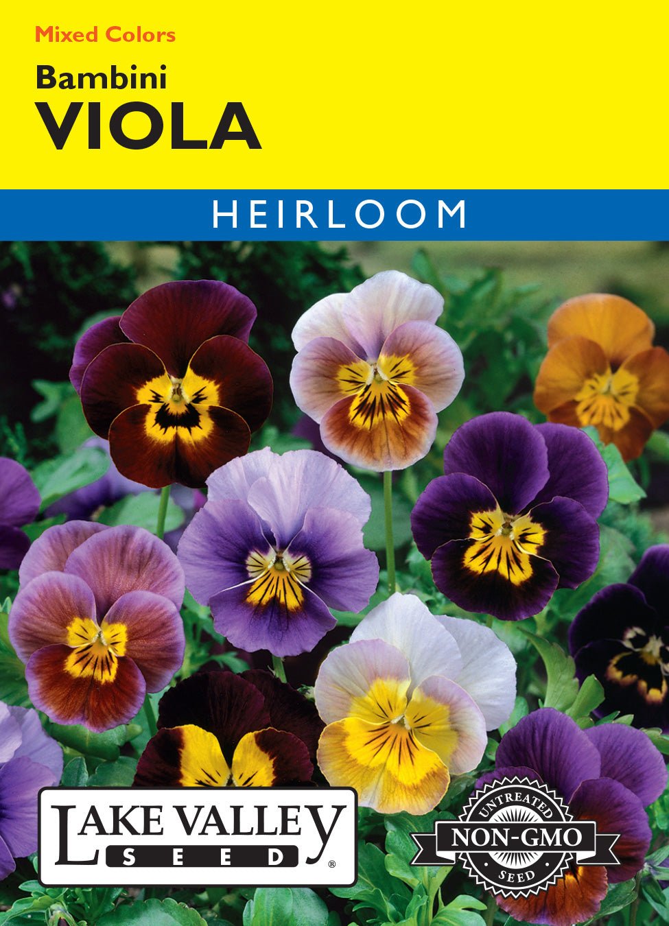 Viola Bambini Mixed Colors