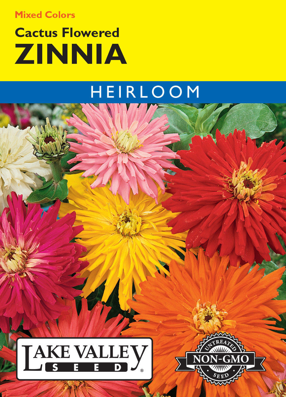 Zinnia Cactus Flowered Mixed Colors