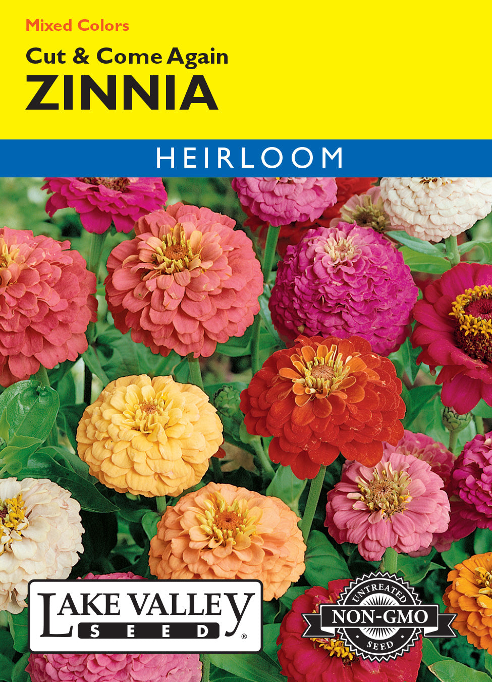 Zinnia Cut & Come Again Mixed Colors