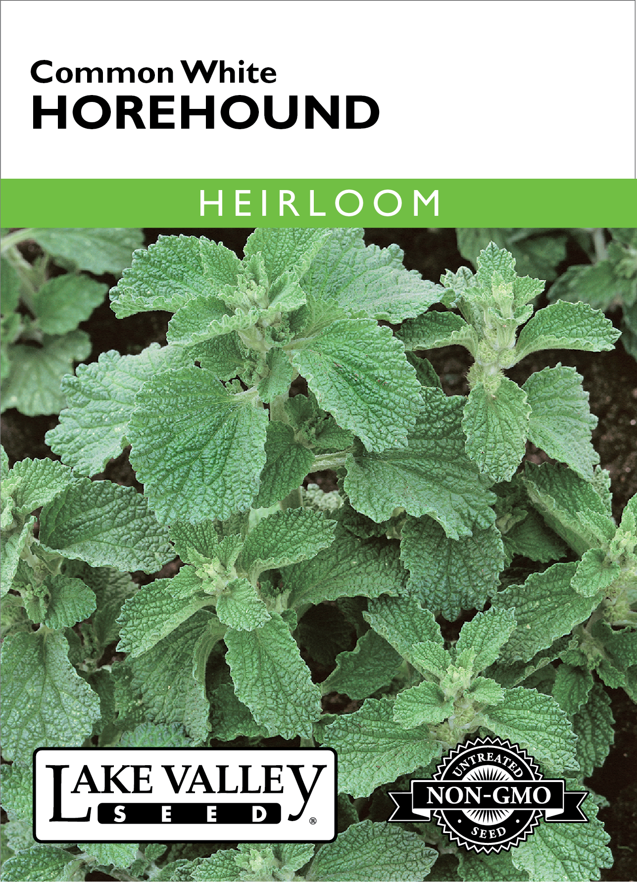 Horehound