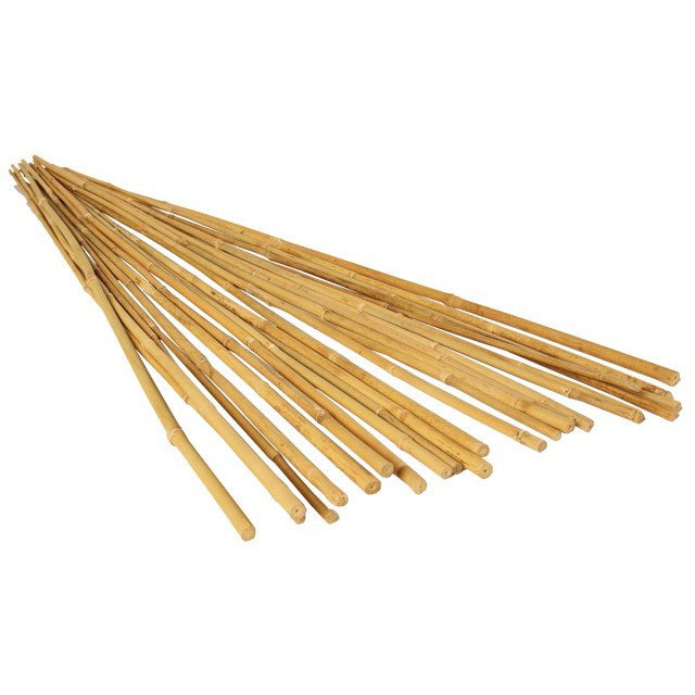 Bamboo Supply® Natural Bamboo Stake - 3ft L - 3/8in diam - Natural
