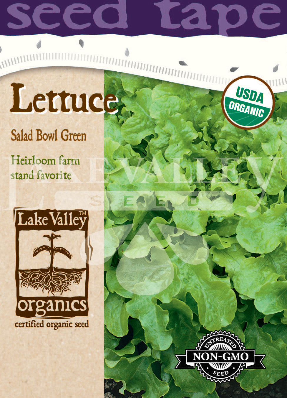Seed Tape Organic Lettuce Salad Bowl