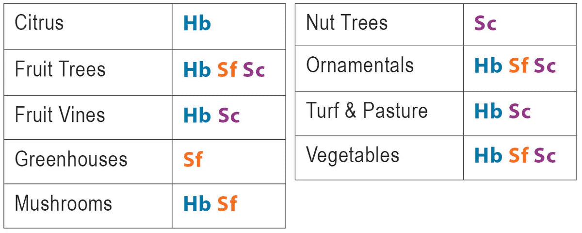 Fire Ant Exterminator - Sf Nematodes
