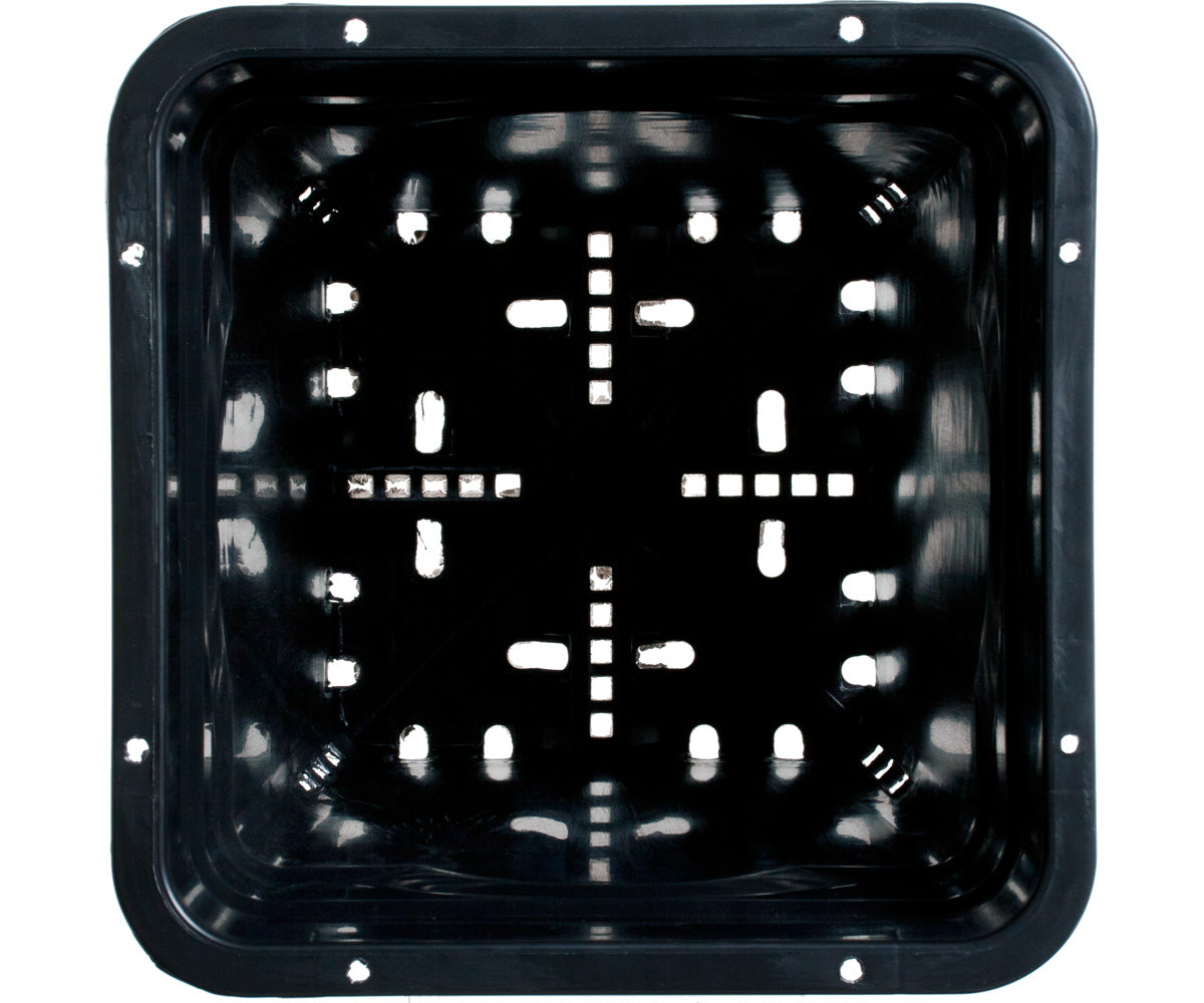 Active Aqua 7"x 7" Square Black