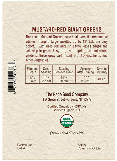 Mustard Red Giant Mustard Greens