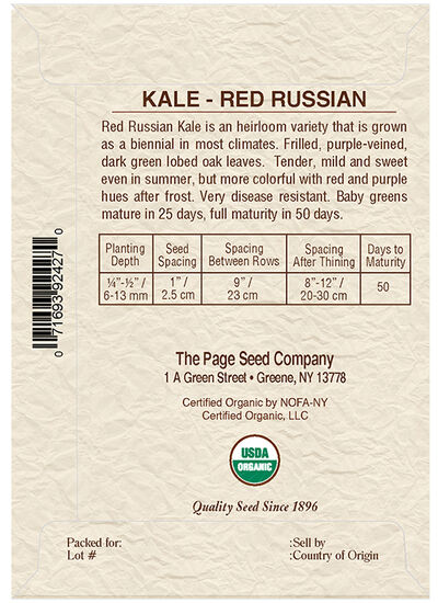 Kale Red Russian