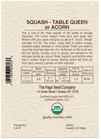 Squash Table Queen