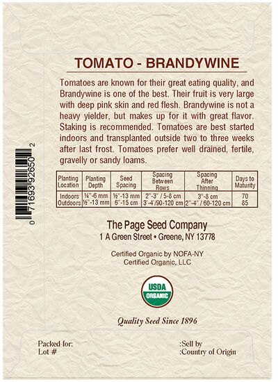 Tomato Brandywine