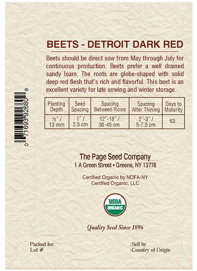 Beet Detroit Dark Red