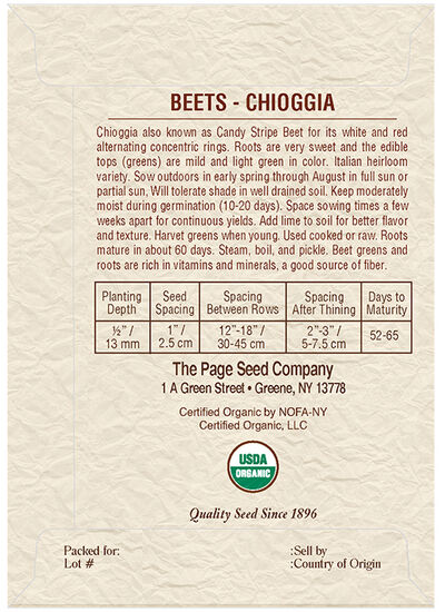 Beet Chioggia