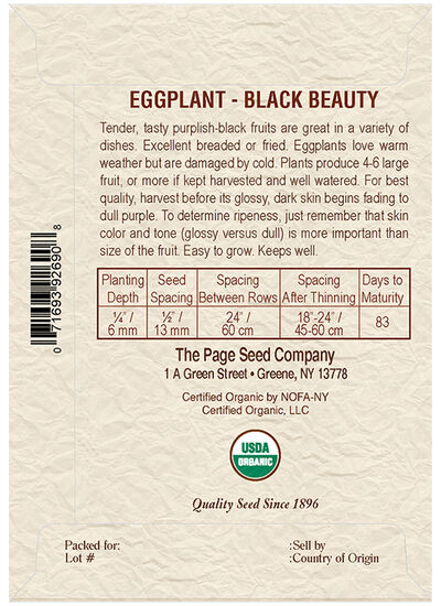 Eggplant Black Beauty
