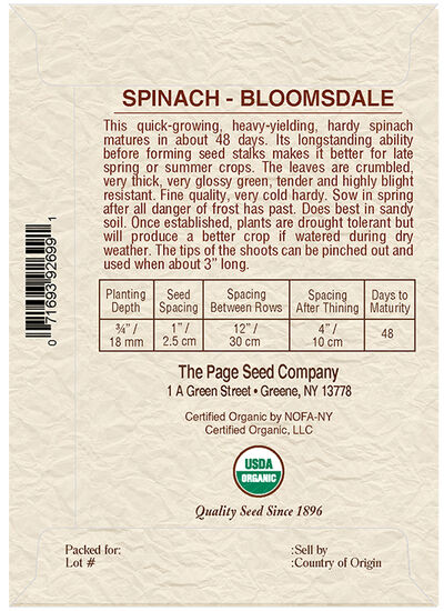 Spinach Bloomsdale