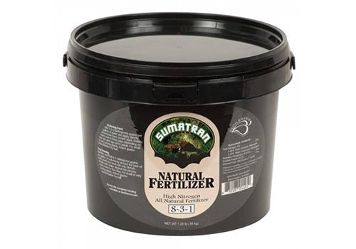 Sunleaves Sumatran Bat 1.25lb