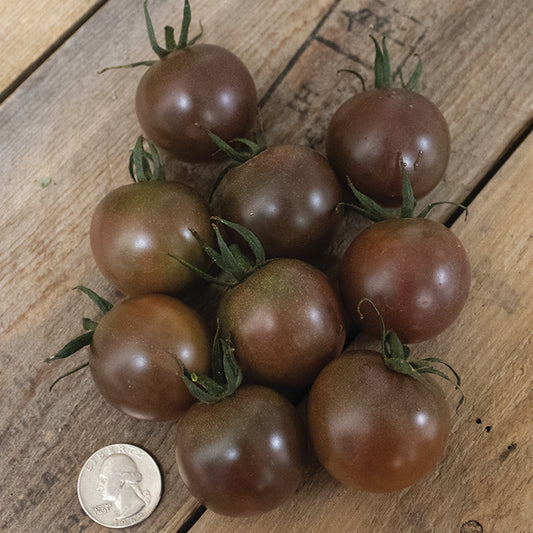 Tomato, Chocolate Cherry
