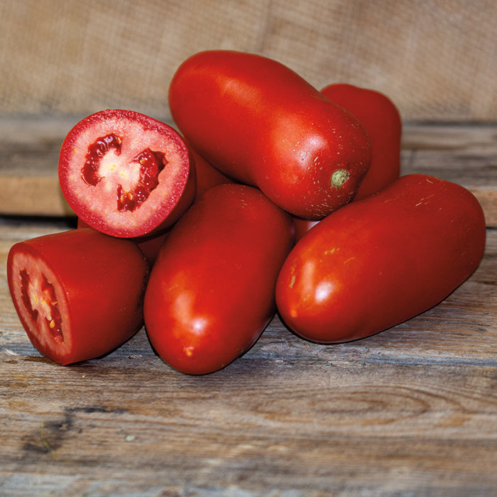 Tomato, Zenzei Hybrid
