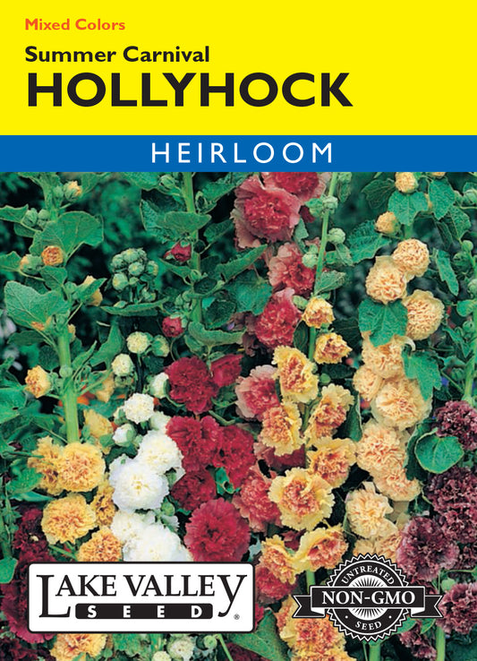 Hollyhock Summer Carnival Mixed Colors