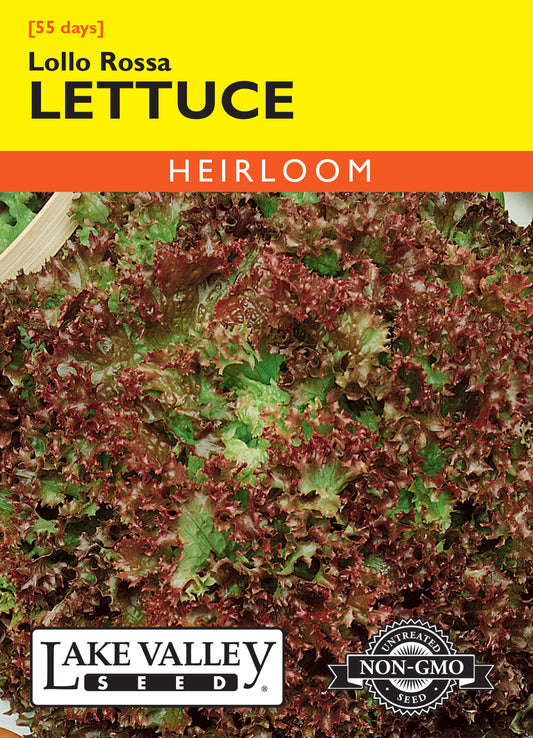 Lettuce Lollo Rossa
