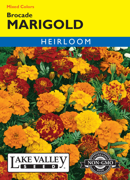 Marigold Brocade Mixed Colors