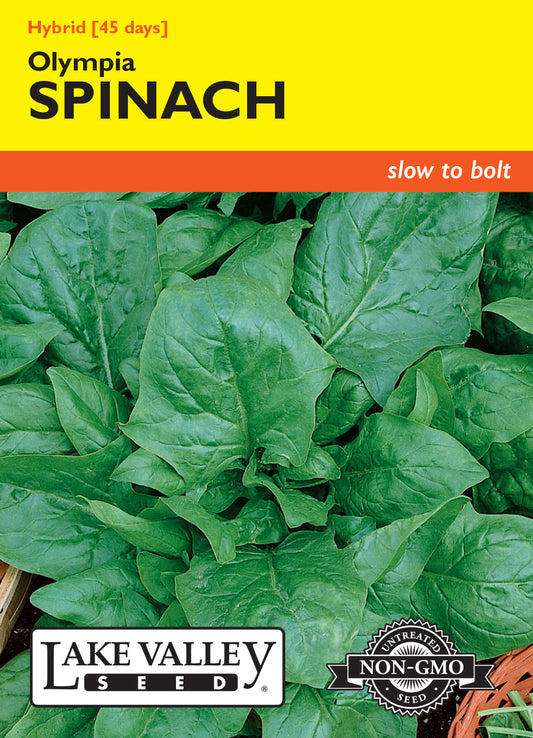 Spinach Olympia Hybrid