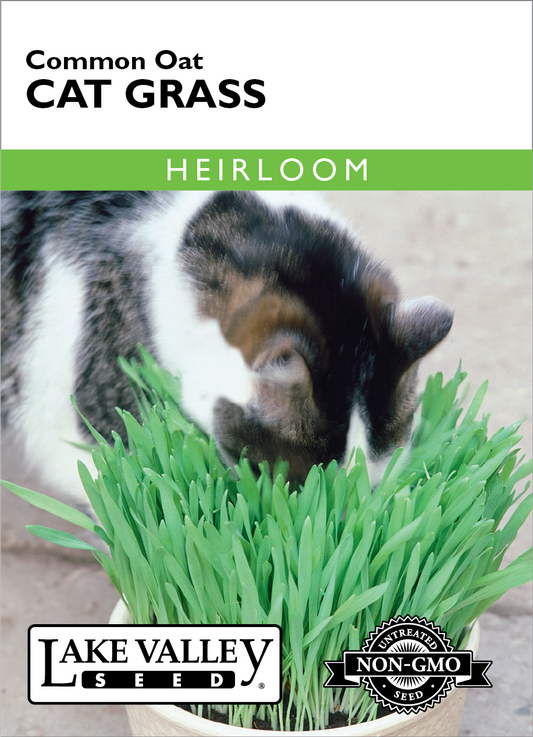 Cat Grass