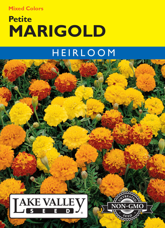 Marigold Petite Mixed Colors