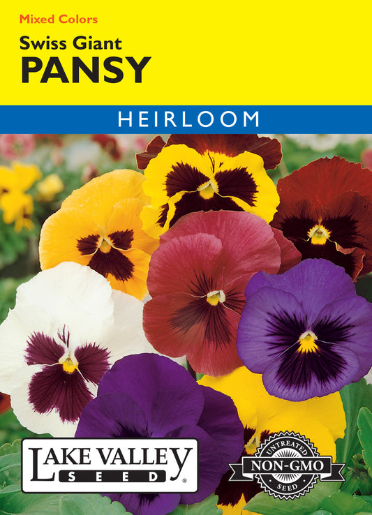 Pansy Swiss Giant Mixed Colors
