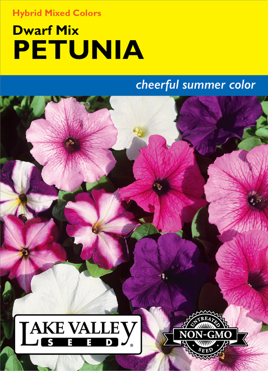 Petunia Hybrid Choice Mixed Colors