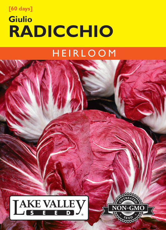 Radicchio Giulio