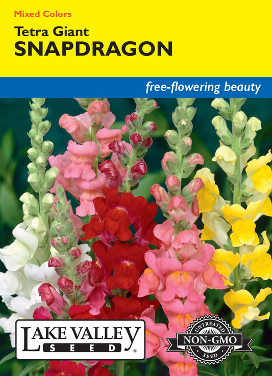 Snapdragon Tetra Giants Mixed Colors