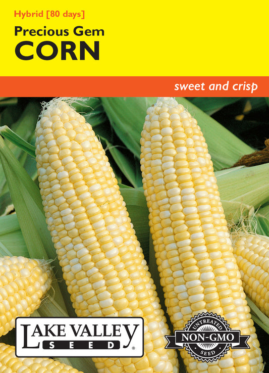 Corn Sweet Precious Gem Hybrid Bicolor