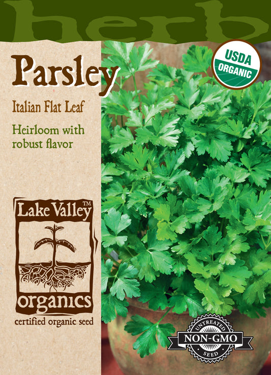 Parsley Italian Flat Leaf