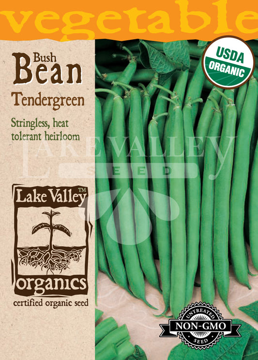 Organic Bean Bush Tendergreen Heirloom