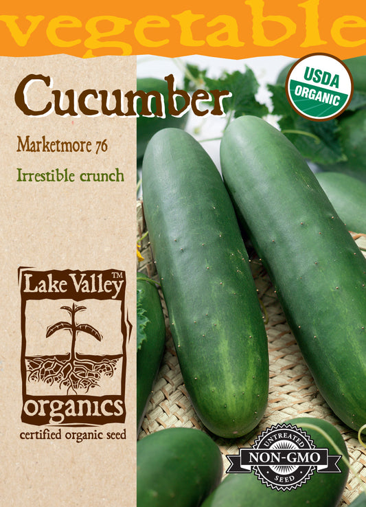 Cucumber Marketmore 76