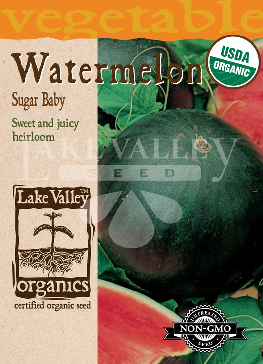 Organic Watermelon Sugar Baby Heirloom