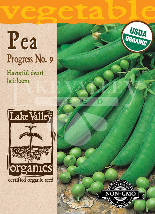 Organic Pea Progress No. 9 Heirloom