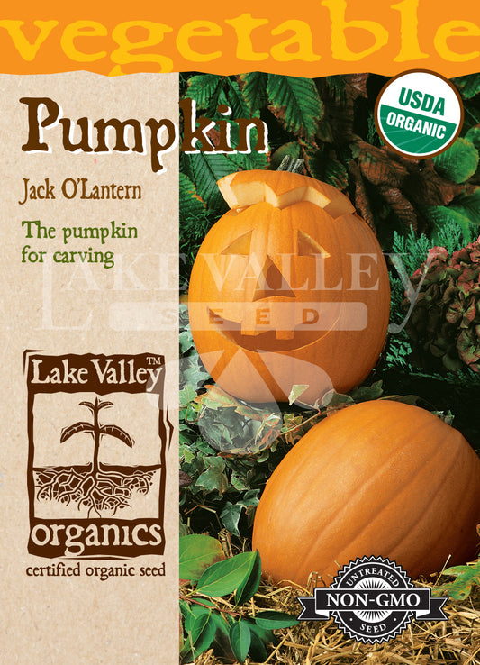 Organic Pumpkin Jack O'lantern