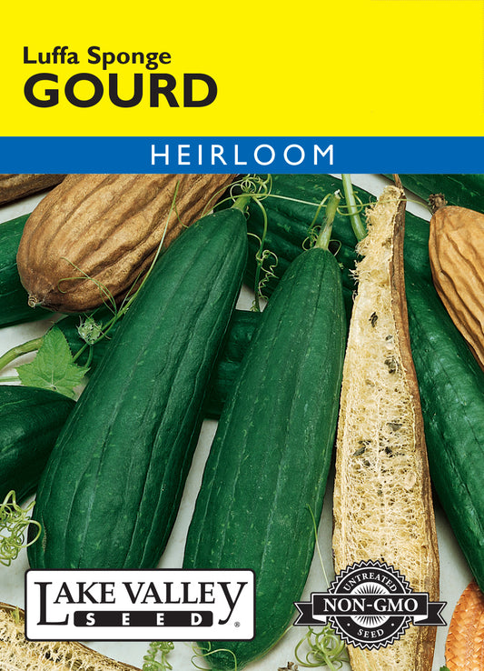 Gourd Luffa Sponge