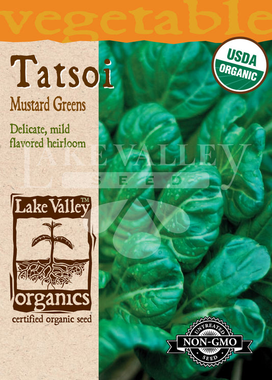 Organic Tatsoi Mustard Greens Heirloom