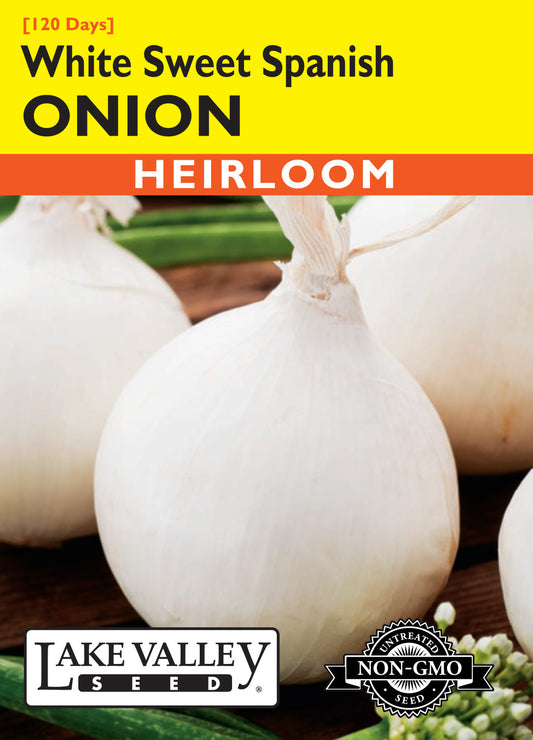 Onion White Sweet Spanish (Long Day)