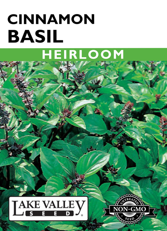 Basil Cinnamon