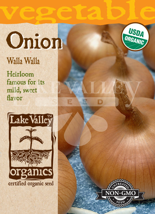 Organic Onion Walla Walla Heirloom