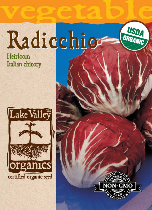 Radicchio