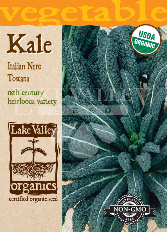 Organic Kale Italian Nero Toscana Heirloom