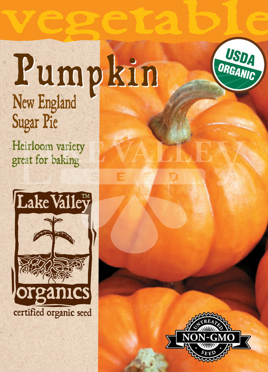 Organic Pumpkin New England Sugar Pie Heirloom