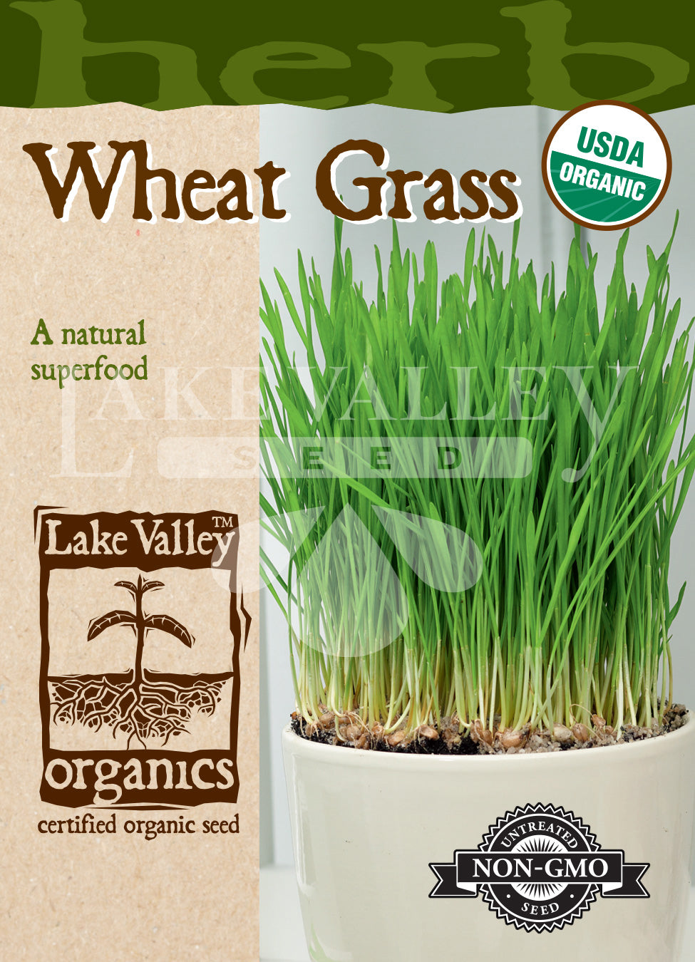 Organic Wheat Grass