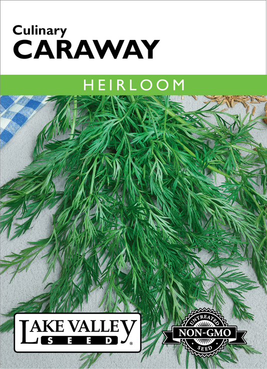 Caraway