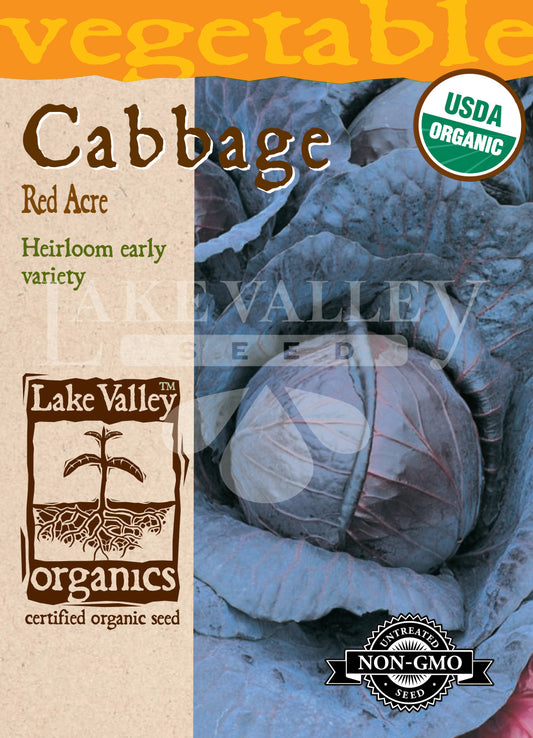 Organic Cabbage Red Acre Heirloom