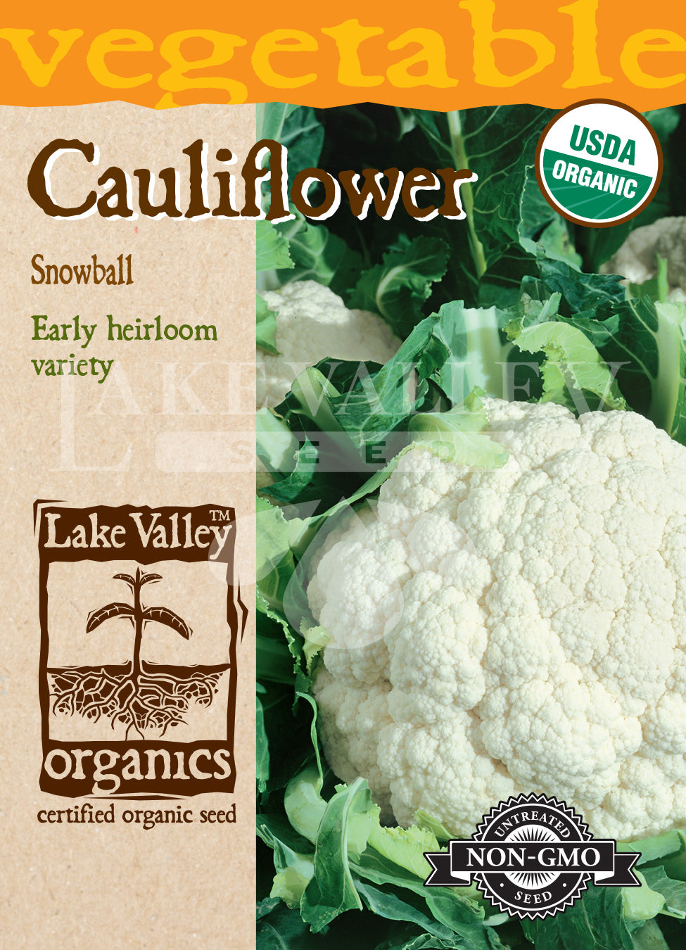 Organic Cauliflower Snowball Heirloom