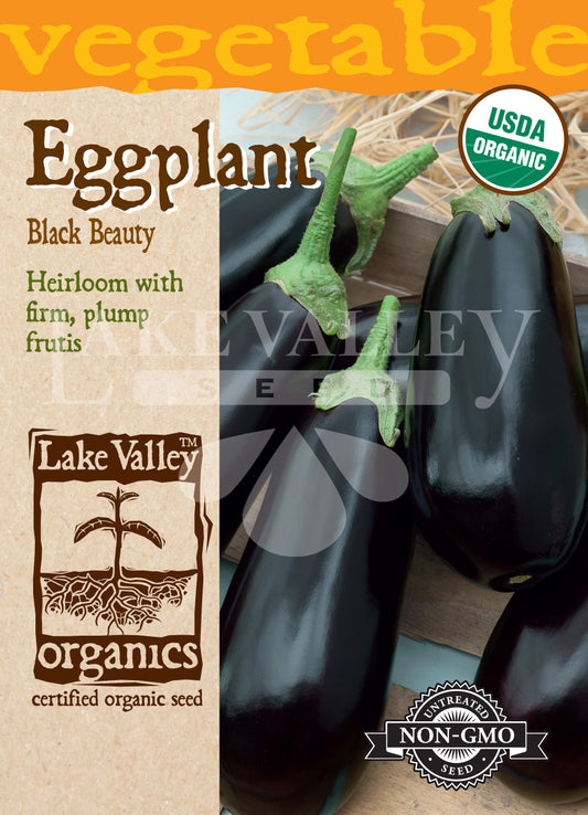 Organic Eggplant Black Beauty Heirloom
