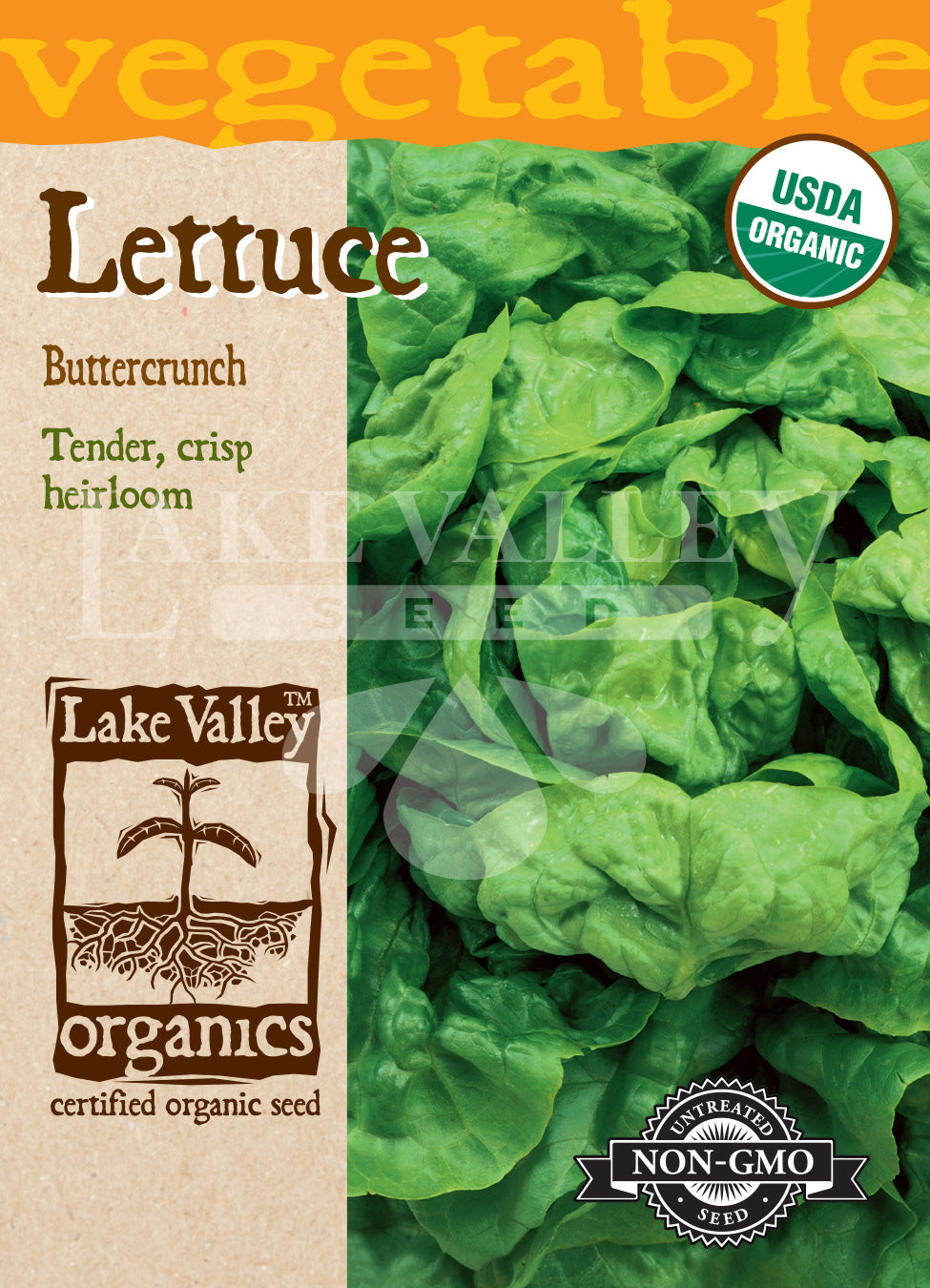 Organic Lettuce Buttercrunch Heirloom